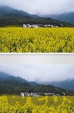 成人电影免费视频-成人电影免费视频，了解其背后的真相与风险